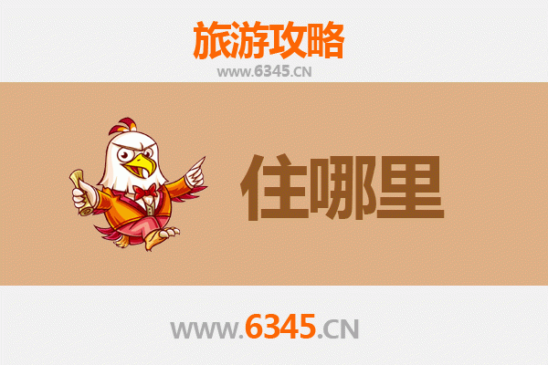 成都金牛区旅游民宿全攻略：沉浸式体验天府文化魅力